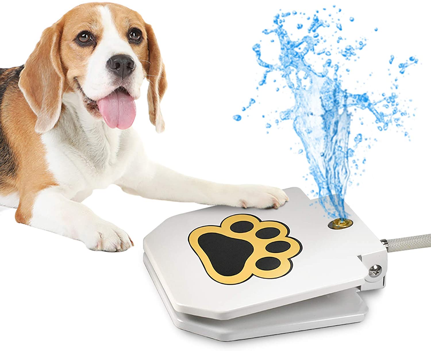 Outdoor Dog Water Fountain