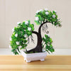 Flowering Bonsai Plant Decor