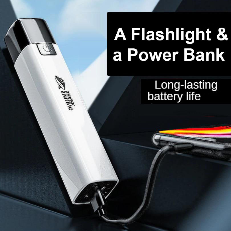 Waterproof Power Bank Flashlight