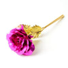 24K Foil Plated Gold Rose