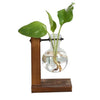 GreenVintage Hydroponic Plant Vase