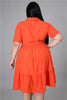 Corinne Plus Size Flared Dress