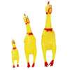 Screaming Chicken Toy